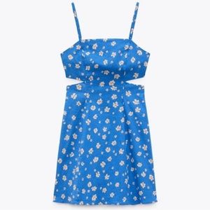 Zara Cut Out Printed Dress